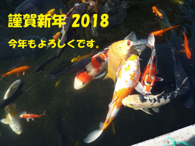 謹賀新年　錦鯉　2018