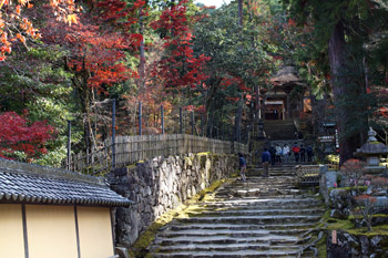 SONY NEX-7 Lens Turbo II MINOLTA MD ROKKOR 50mm F1.4 滋賀県 湖東三山 西明寺 参道