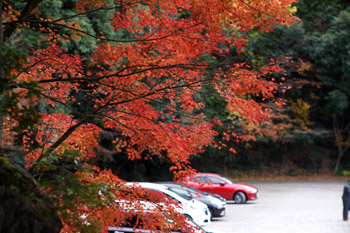 SONY NEX-7 Lens Turbo II MINOLTA MC TELE ROKKOR-PF 135mm F2.8 前期型 滋賀県 湖東三山 西明寺 駐車場 カエデ